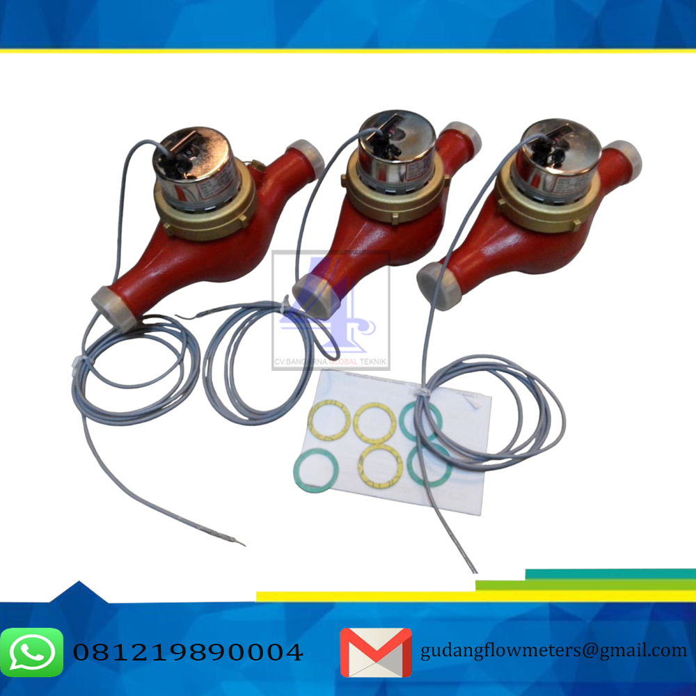 Flow Meter Sensus 1 inch Type WS-Dynamic